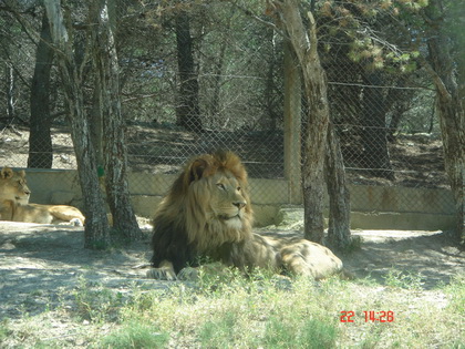 你说我帅不~~~~~~~o(∩_∩)o...哈哈 你说我帅不~~~~~~~o(∩_∩)o...哈哈