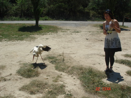 你离我远点~~~~~鄙视你~~~~ 你离我远点~~~~~鄙视你~~~~
