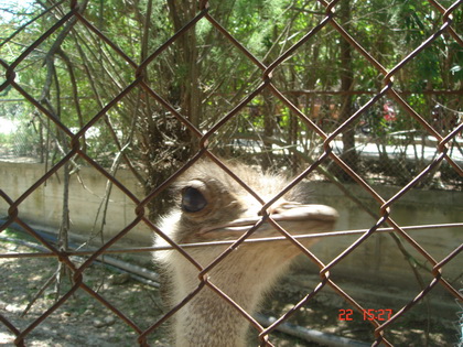 你看我的眼睛纯洁不??????? 你看我的眼睛纯洁不???????