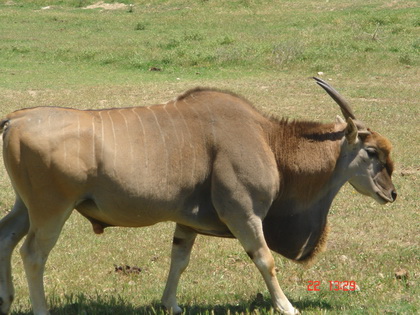 我累着呢..........今天不想拍照~~~~~ 我累着呢..........今天不想拍照~~~~~