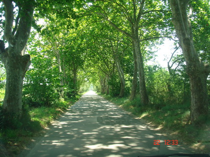进动物园前的林间小道~~~~ 进动物园前的林间小道~~~~