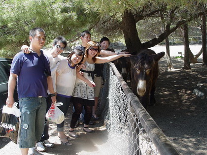 驴子兄~~很郁闷的看着我们呢 驴子兄~~很郁闷的看着我们呢