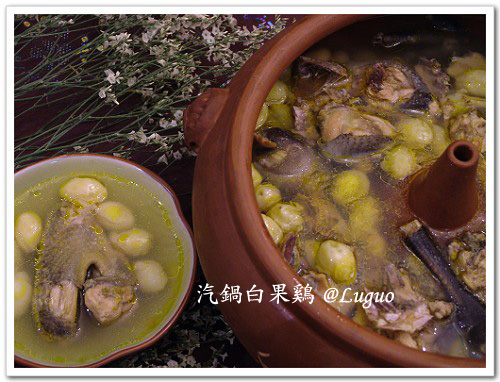 汽锅白果鸡.jpg