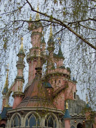 树叶婆娑间，隐约望见它的多姿身影，却丝毫不影响它的美丽