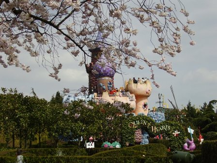 用天做帽花做衣，展现婀娜好身姿