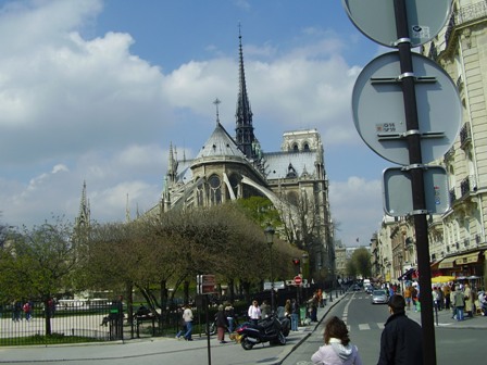 讨厌的大树，挡去了它的全景，唉，是我取景角度太差，怪不得树宝宝啊~~~`