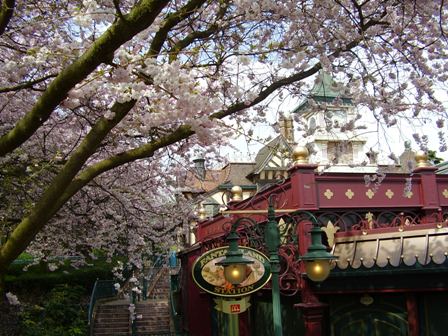 公园处处好风光，最美不过樱花点缀万般景