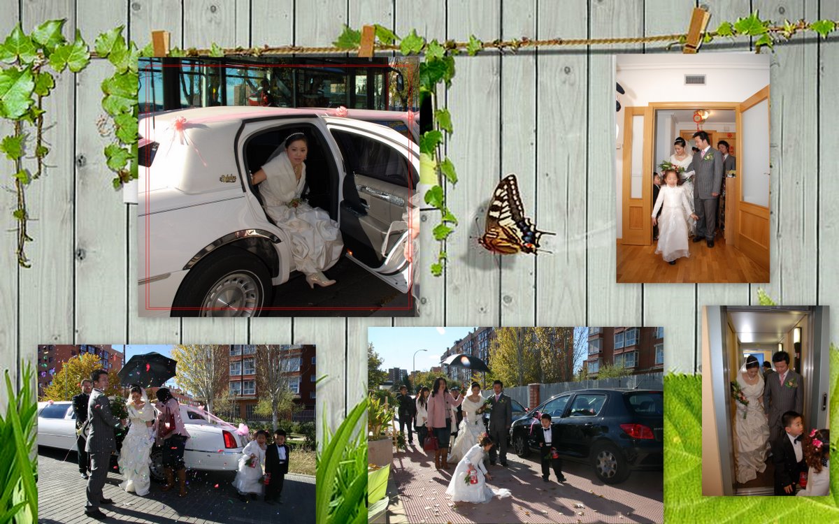 新建文件夹 (3).jpg