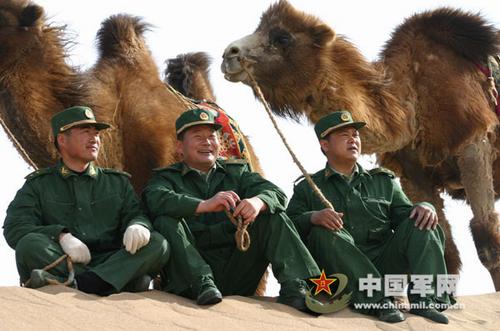 大漠驼兵.jpg
