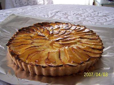 445969037_0657e6413c.jpg 445969037_0657e6413c.jpg